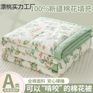 Class a Kidsren's Cotton Summer Quilt Air-Conditioned Quilt Pure Cotton Quilt Core Dormitory Quilt Machine Washable Summer Cool Quilt Four-Piece Set 4