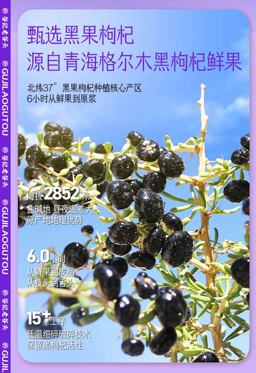 Black Goji Berry Mulberry NFC Juice Drink 500ml Ready to Drink Herbal Beverage quality and texture
