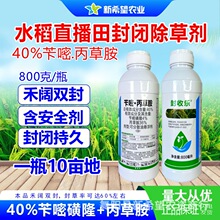 40%���ױ��ݰ����݄� ����p�� ˮ����ǰ���]����ș�޲�ǧ����