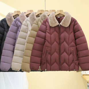 �������¿��p���޷�Ů�̿�2025�걣ů���I�ﶬ�����|�������\����