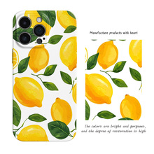 ���R�dС�������m��iPhone16promax�O��17��ˤ����15ȫ���֙C��