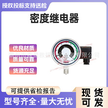 SF6�ܶȼ̵�������ʽ��ӵ���Ʒ��������GIS�豸��·����Զ��