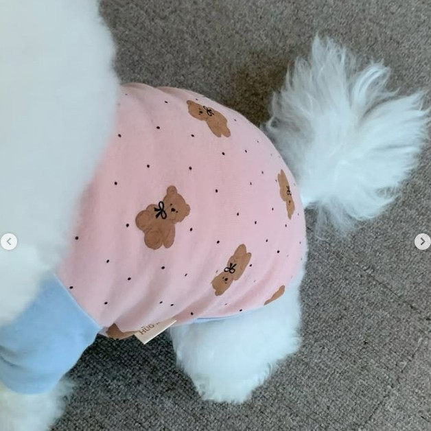 26 primavera y verano delgada cuatro patas abdominal abrigo abrigo abrigo abrigo pijama gato ropa de perro ropa de perros pequeños y medianos image 12
