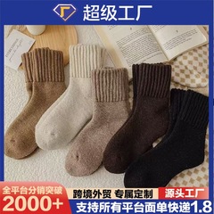 加厚保暖中筒高级韩版潮流秋冬款男女通用中筒袜2025新款袜子毛圈