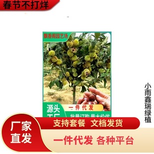һ�����l����ֱ�l�������� ���Ե��Թ���޽Ӵ�t���Ϸ������Nֲ