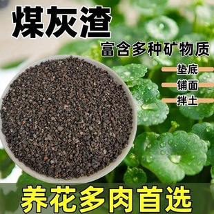 ú�C�t��ȥ��ú���������m���I�B��ú̿������Y͸����ϴ���ݸɃ�