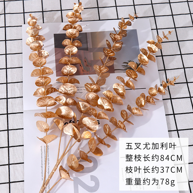 Five-pronged eucalyptus