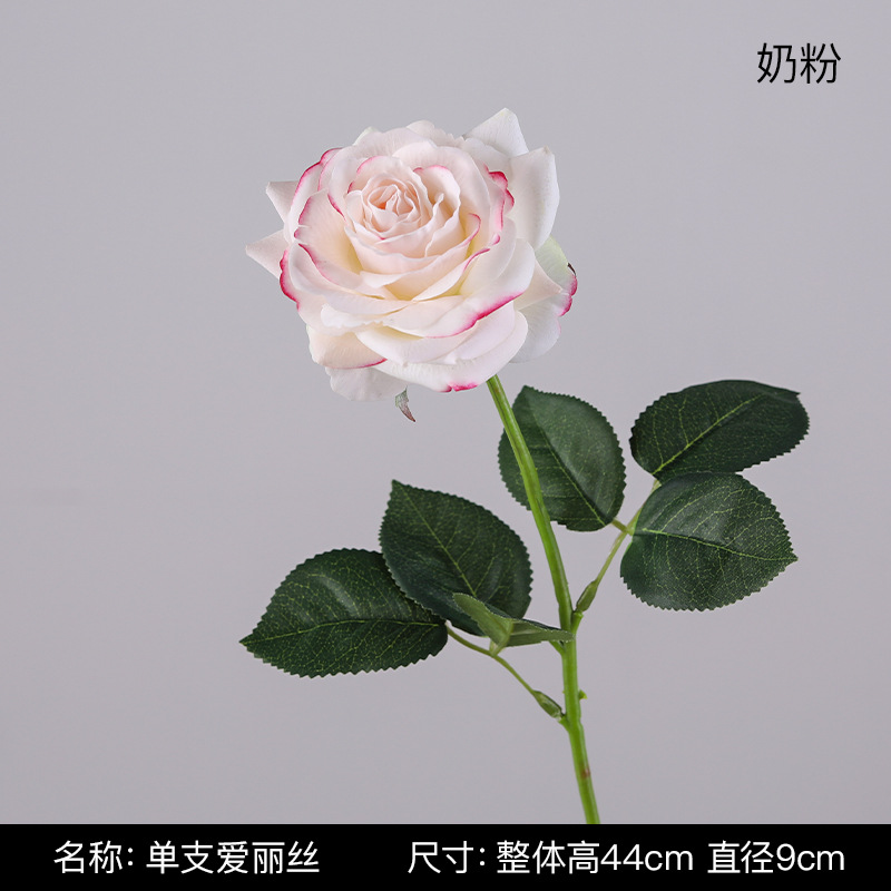 싱글 앨리스-밀크 핑크