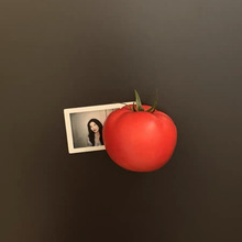 �¿���������O������ˮ���߲˱�������Nins�L�N��diy�b���