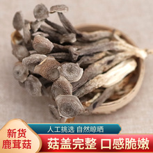 ¹�׹�ɢ�bһ���؛���l�a��ֱ����Ȼ����Ѭ����Ҝ�ʳ��¹�׹�