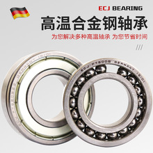 德国耐高温轴承600度FT6200 6201 6202 6203 6204 6205 6206ZZ