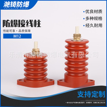 ���� M12�����Ӿ��� �����߉�늙C�Ӿ��� �߉�����늙C�^����