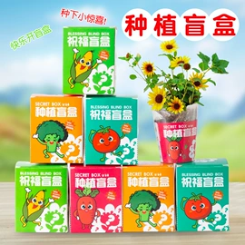 发光玩具;减压玩具;惯性回力玩具