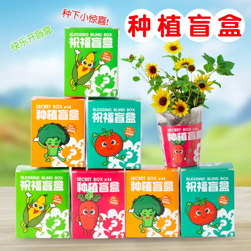 种植盲盒儿童植物盆栽小盆栽幼儿园观察植物小学生种子迷你批发