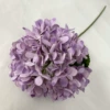 Shallow purple