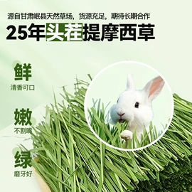 兔子主粮;狗狗窝/笼/垫;猫抓板