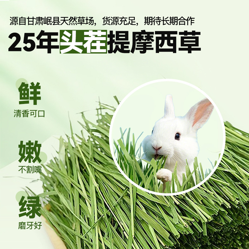 提摩西草草段兔粮兔子草磨牙饲料提草荷兰猪龙猫粮食甘肃黄金产区