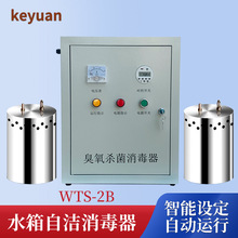 水箱自洁消毒器WTS-2A臭氧杀菌内置式消防生活用水微电解水处E18