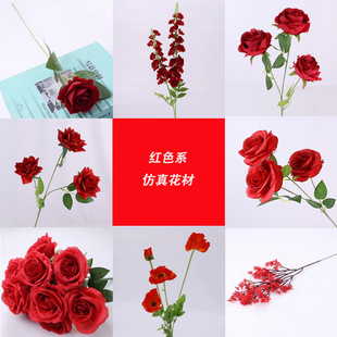 �tɫϵ���滨��c���Ļ�Y�õ��ܛ�b�Ƶ��������·���廨����