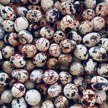 �g�������r���ЋD�g������ɢ�B�B�������oʳ���r