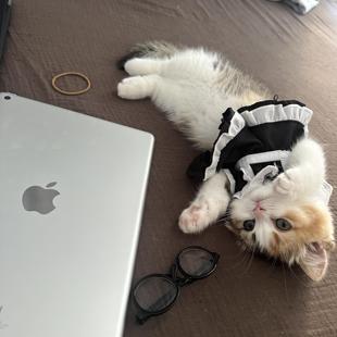 Cat Maid Outfit Clothes Pet Dress Princess Costume Cosplay Photo Props Anti-Shedding Internet Celebrity Hot Item