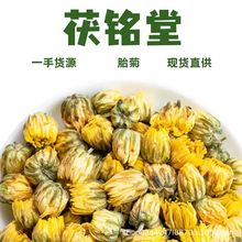 新货 桐乡胎菊 菊花散装 批发菊花500g胎菊散装厂家直销