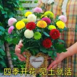 ƹ����ջ��������λ������ļ����ֻ���������̨�ʻ����Ի�������