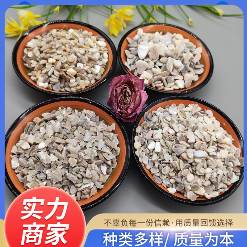 现货供应贝壳砂工艺品装饰贝壳片本色贝壳研磨涂料添加用贝壳碎片