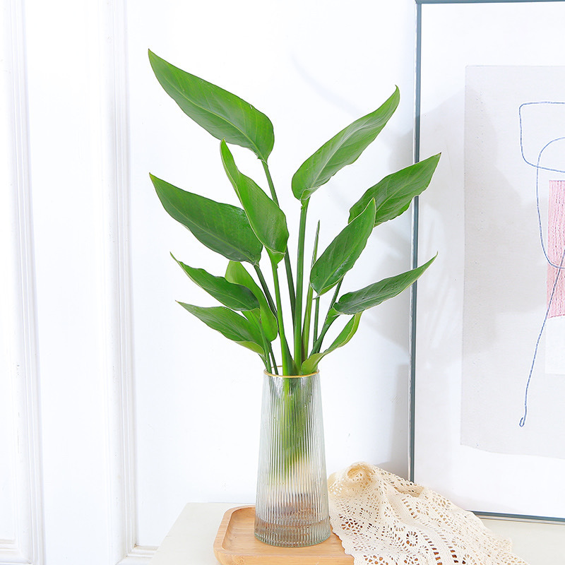 극락조 50-60cm [3그루] + 투명 세로줄무늬 닫힌 병