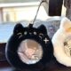 Fox Fox Fox Plush Wallet Cute Storage Bag Small Pain Bag Transparent Display Student Millet Protection