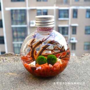 �Ҹ����������Bƿmarimo����΢����������ֲ��ˮ��С�������նY��