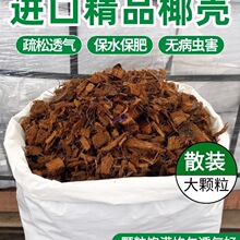 �M��ɢ�b��K��Ҭ��Ҭ�u���ݰl�I�B���B��ͨ�����m��ֲ���w��Ó�}