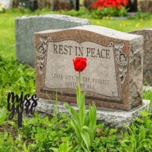 �羳���@����Ӱ�ز����ʮ�֘����ѹ��H��Ĺ�ؘ������b�