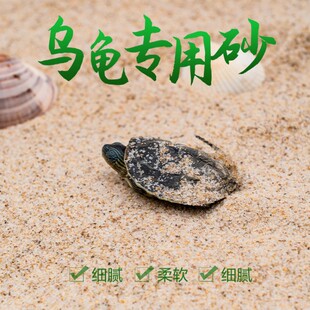 �������߷����ü���ɳ�~���b��쾰��ɰ�����{���������µ���ɰ��