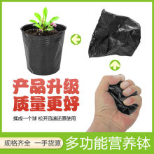 �I�B�����籭һ���Ժ�ɫ�I�B���������̖���Nֲ����������I�B��