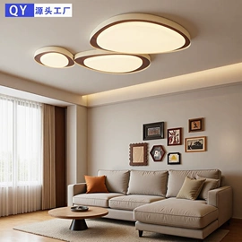 吸顶灯;吊灯;风扇灯