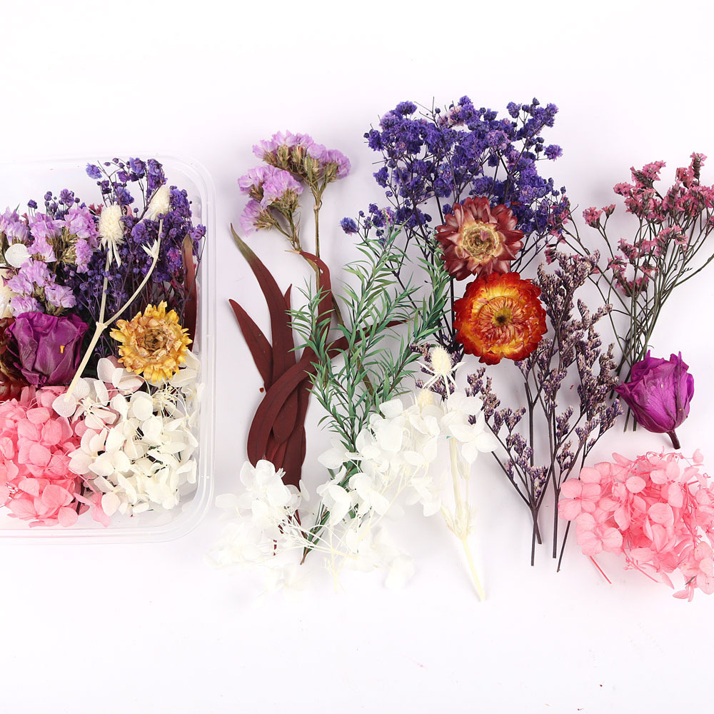 Flores secas preservadas hechas a mano, marco de fotos DIY, decoración mixta, materiales de aromaterapia, flores naturales, ramo de regalo para boda, San Valentín