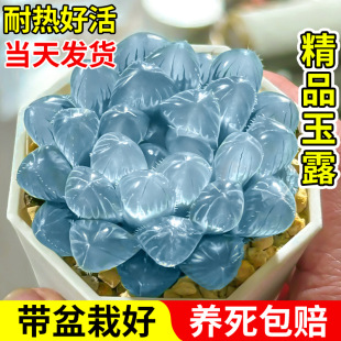 {R¶\ϡжֲﻨ׃@控ԺBС