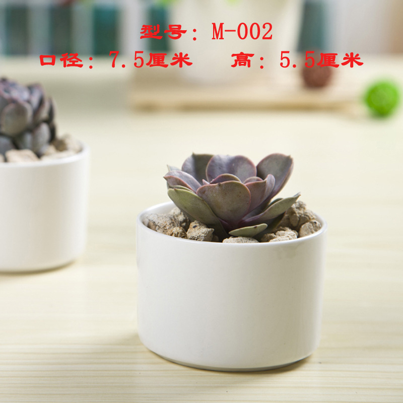 Exported to South Korea, Succulent Flower Pots, Ceramic Flower Pots, White Porcelain Succulent Plant Small Flower Pots, Japanese White Flower Pots