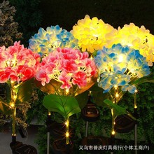 ̫ܴ򻨟ˮ0Mز廨⻨@ƺ滨