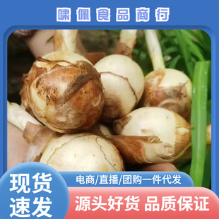 ����r�Ҵȹô������r�״Ĺ����R��ѿ���F���߲��r���ԷN��ȹ�