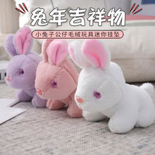 ���꼪�����Ȍ�����ӭ��С���ӹ���ë�q�������쉋����С���