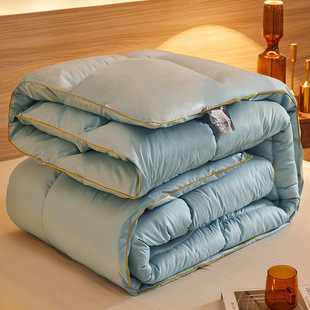 25-Year Winter Quilt, Spring & Fall Quilt, Single and Double Student Dormitory Hotel Thickeneded Warm Quilt Core