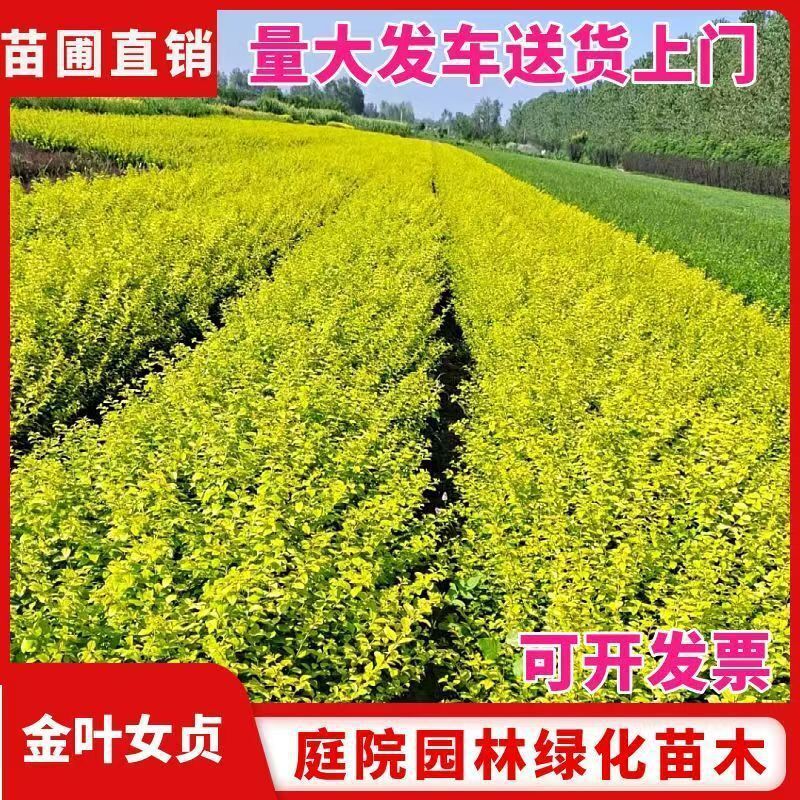 ���~Ůؑ�@�־G�������ȫͥԺ�G�h�ͺ�����ͥԺ���@�Gֲ�h�ʇ���