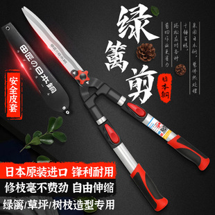 �ｳ�G�h��@�ֻ�����֦���������ƺ�G��������޼���֦�@ˇ����