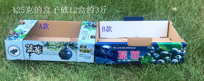 三层五层蓝莓纸箱箱子蓝莓托盘礼盒手提盒礼品盒包装箱彩盒现货