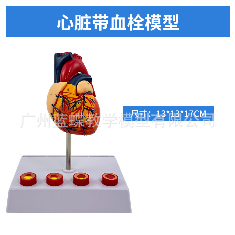 ��������ģ�� ����Ŵ�ģ�� ��Ѫ˨ģ�� �������ģ��