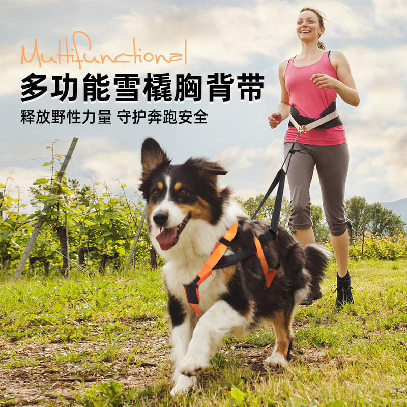 跨境新款狗狗雪橇胸背带户外狗狗跑步牵引绳哈士奇车载牵引绳批发|undefined