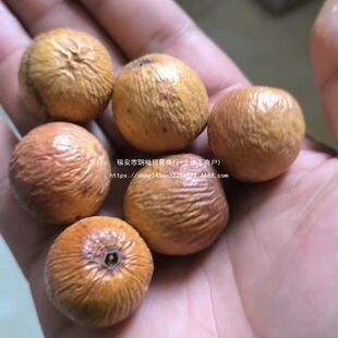 ��ħ���������밴�Ƥ�����P��������ـ�������Ƥ��ʹԭ��