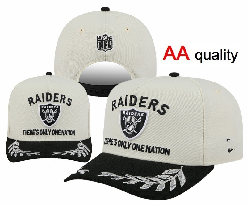 Foreign Trade Cross-Border Wholesale 2025 Model Team Aa High-Quality Adjustable Baseball Cap with 3D Embroidery Hip-Hop Hat
